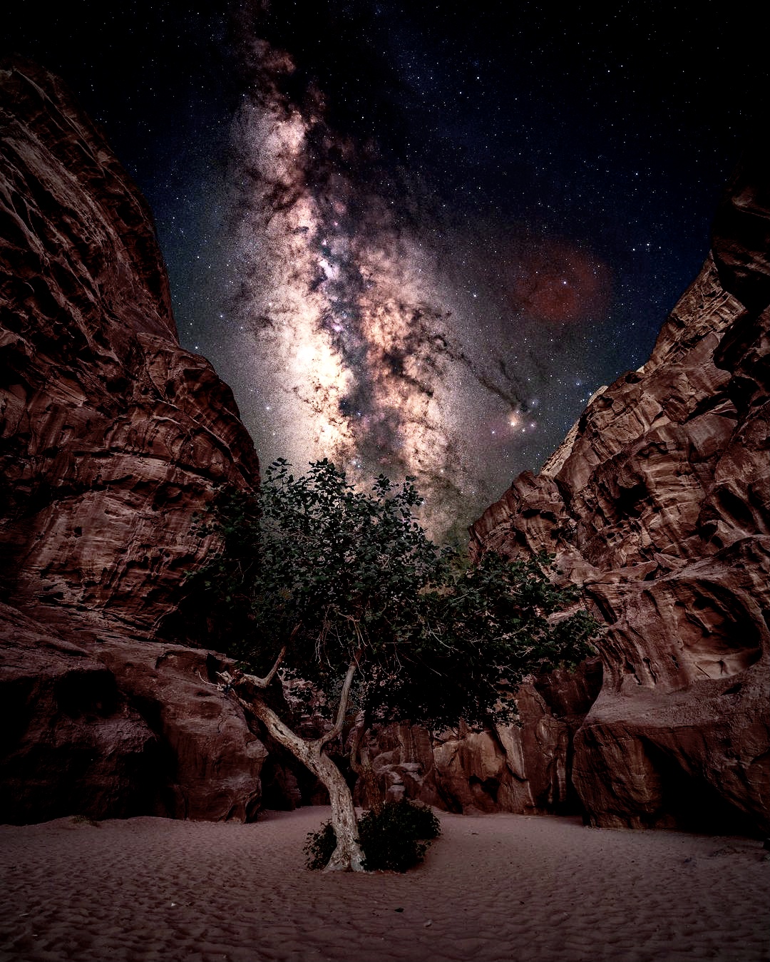 Stargazing in wadi rum desert